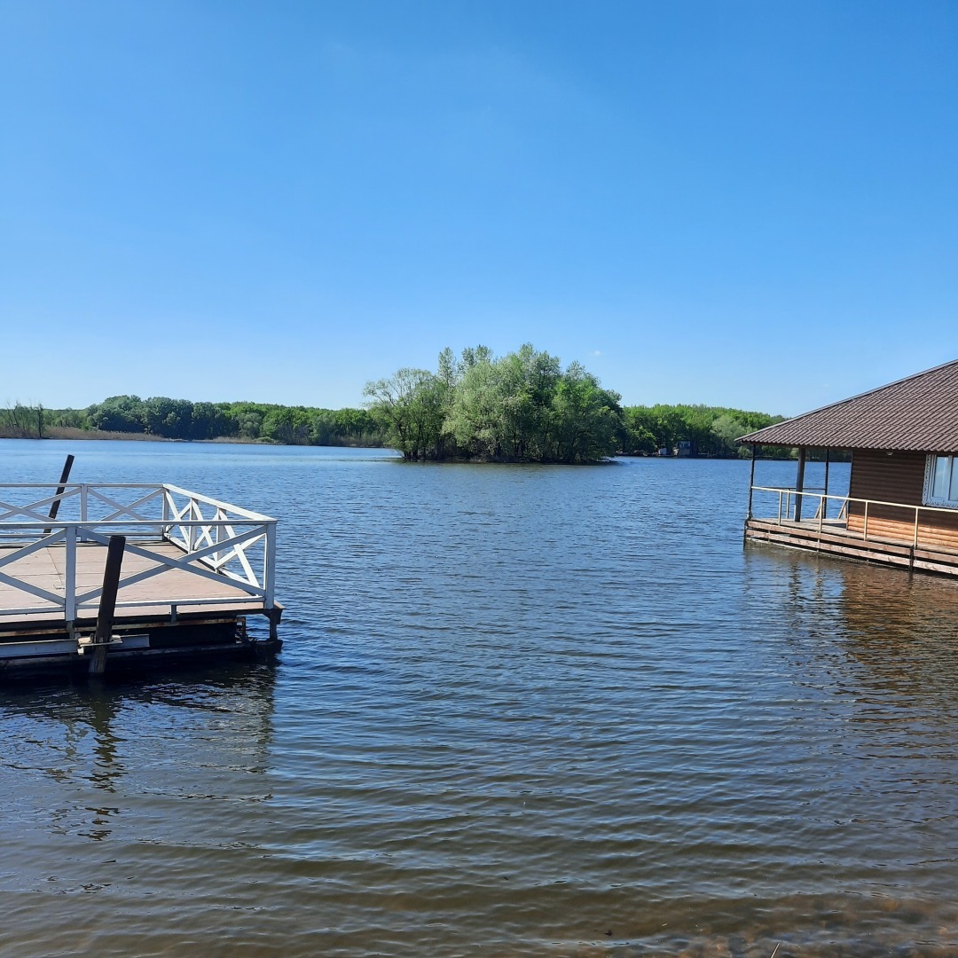 Леди и Бродяга. История одной первой любви.