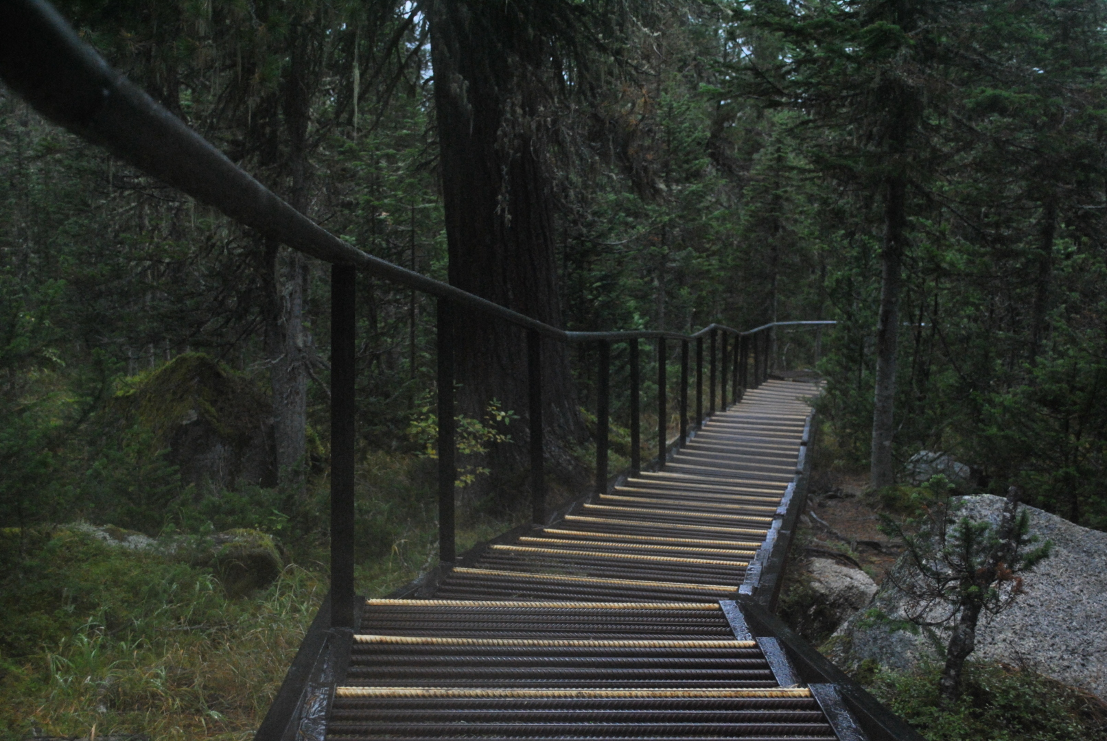 Благо или наказание жить вечно, а давай помечтаем о жизни после криогенной заморозки.