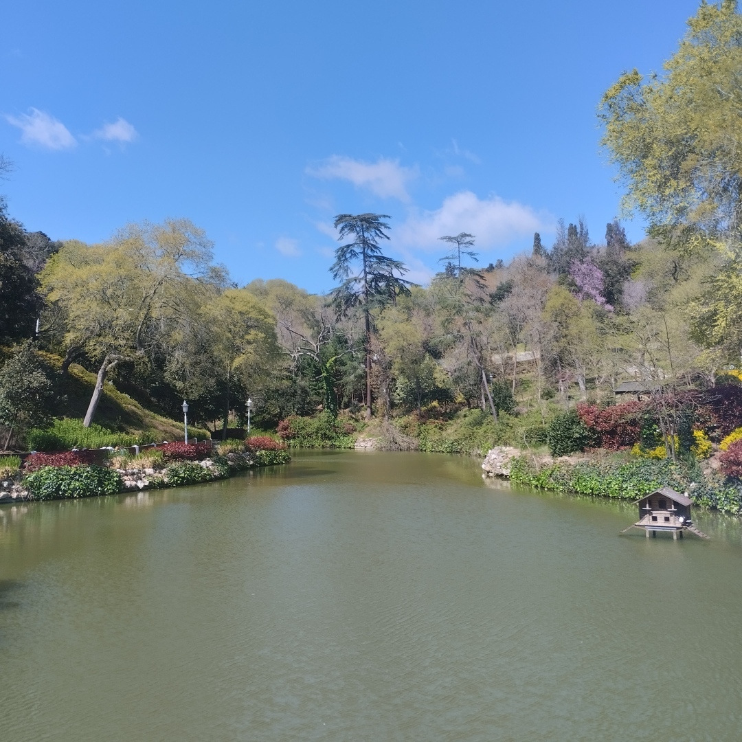 Развод после долгого брака. Что же толкает мужчин на этот шаг? Еще одна история