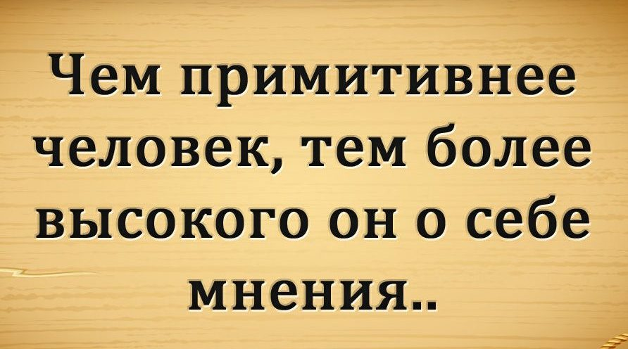 То есть чем больше. Высокое мнение о себе. Человек высокого мнения о себе. Цитаты на тему человек. Статусы про глупых людей.