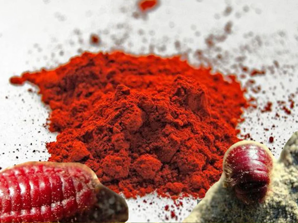 Этот пищевой краситель изготавливается из червей! Мы едим его уже давно!