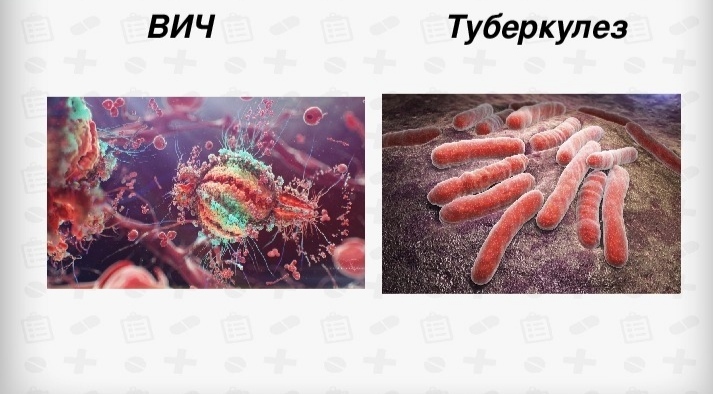 Как произошло, что на школьном пищеблоке работала сотрудница с открытой формой туберкулёза и ВИЧ-инфекцией?