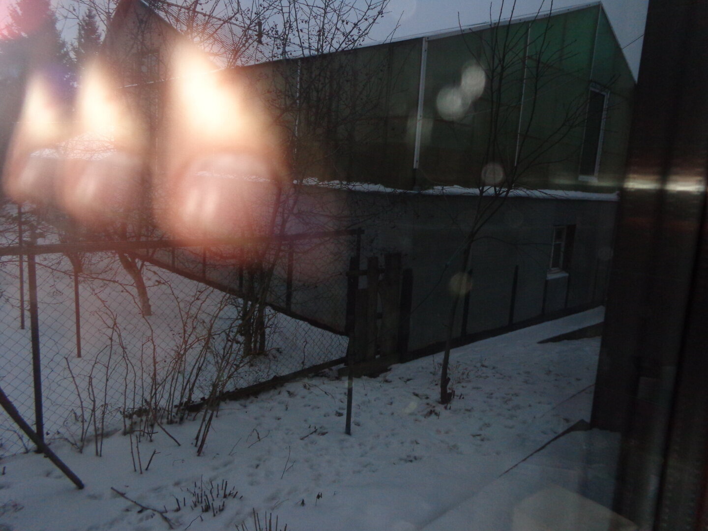 Исповедь хорошей знакомой об испорченных отношениях с соседкой из-за посаженного деревца