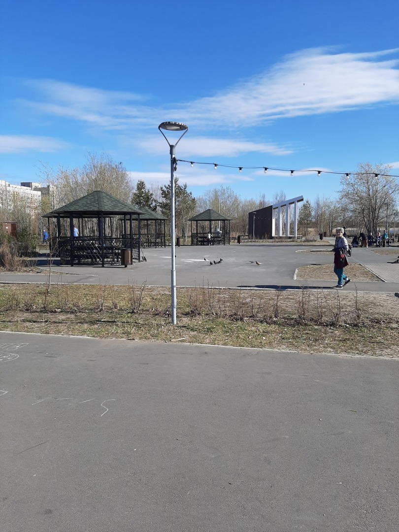 Прогулки по Приморскому парку г. Северодвинска: личные впечатления автора и фото