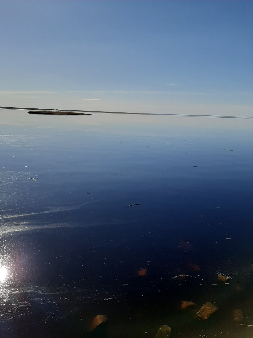 Прогулки по Приморскому парку г. Северодвинска: личные впечатления автора и фото