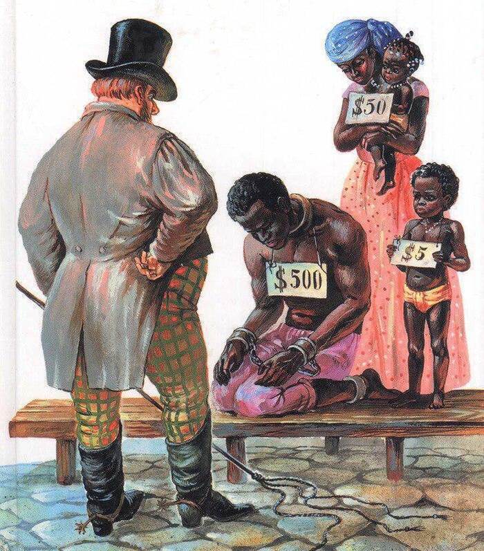 Почему негры были вынуждены работать на плантациях