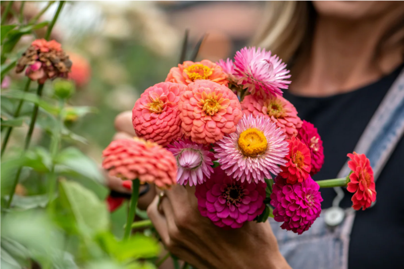Как сделать сбор свадебных цветов менее расточительным