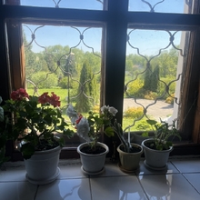 Ирина, г. Москва