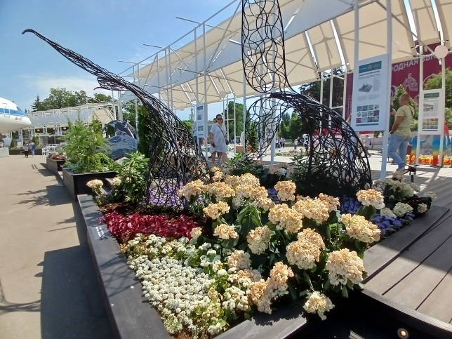 "Будущее в цветах". Новый фестиваль на ВДНХ. Хотелось, чтобы название сбылось