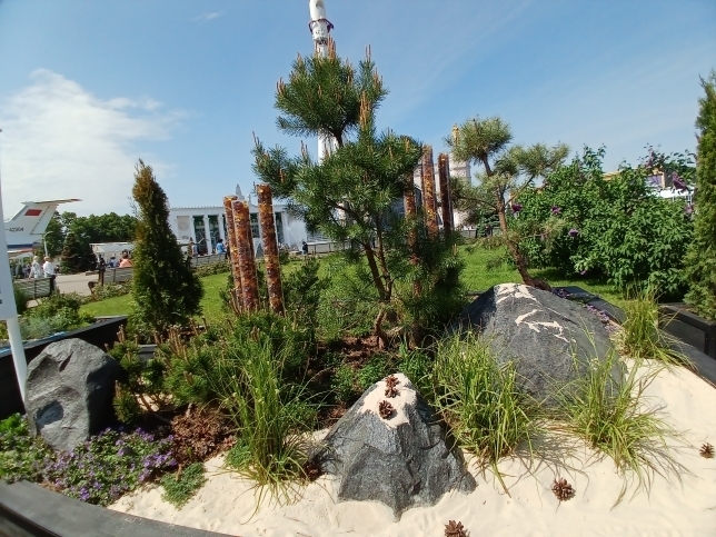 "Будущее в цветах". Новый фестиваль на ВДНХ. Хотелось, чтобы название сбылось