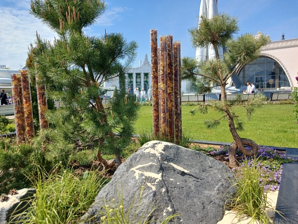 "Будущее в цветах". Новый фестиваль на ВДНХ. Хотелось, чтобы название сбылось