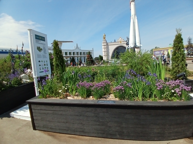 "Будущее в цветах". Новый фестиваль на ВДНХ. Хотелось, чтобы название сбылось