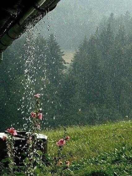 Однажды на холме, окруженном зеленым лесом и разноцветными цветами