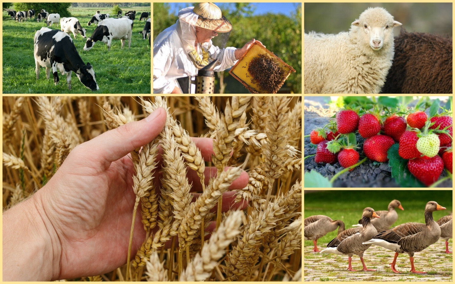 ⚡ В Самаре выявили опасное заболевание. Чем оно опасно ⚡