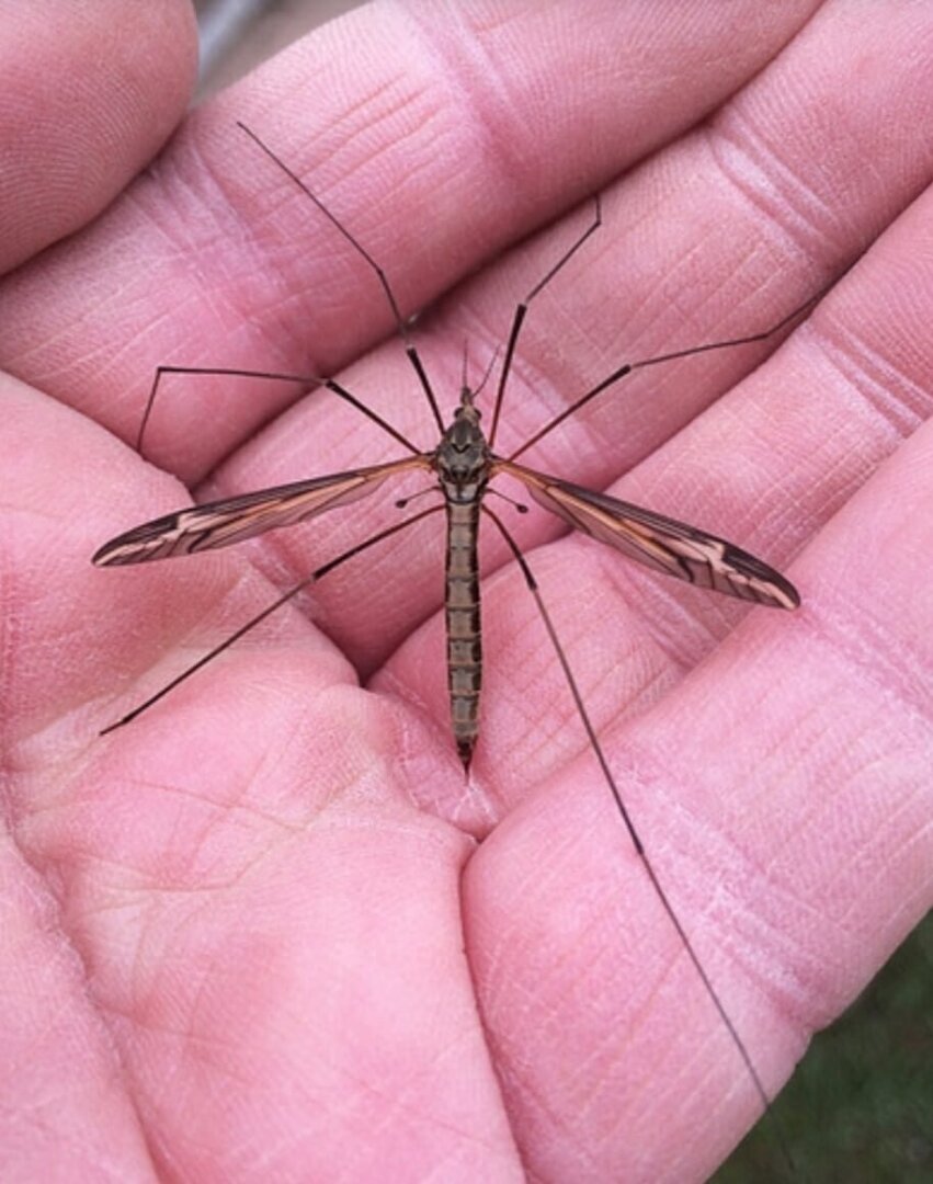 Моё первое интервью в качестве журналиста с необычным гостем