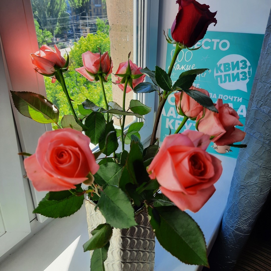 Последние выходные этой весны. Мой отдых.