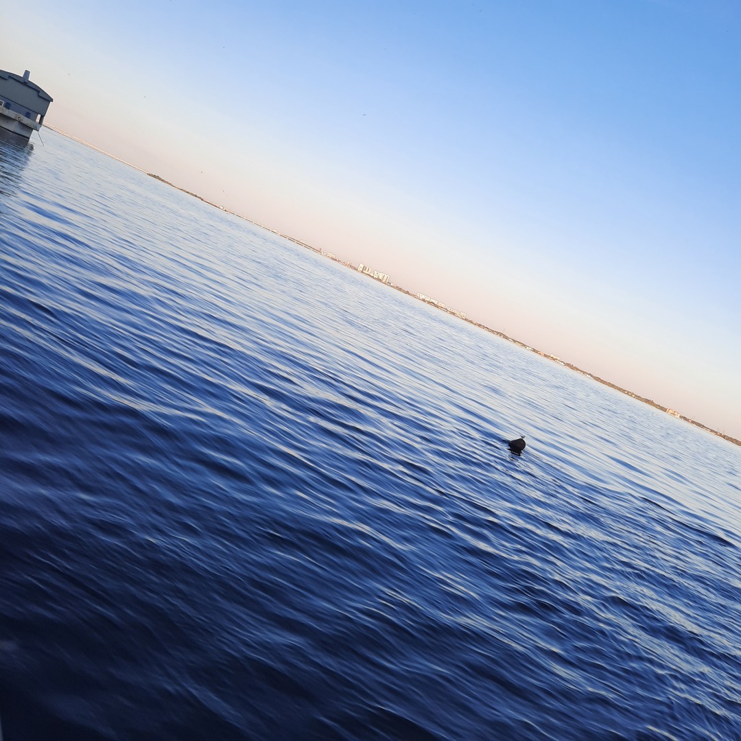 Последние выходные этой весны. Мой отдых.