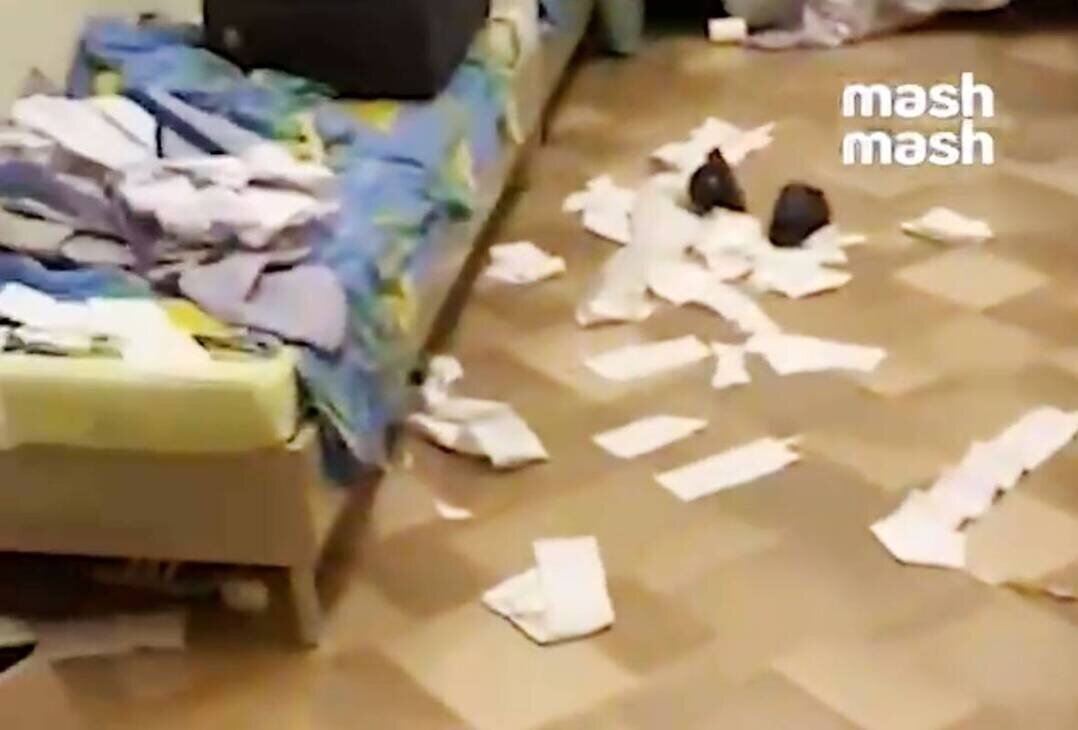 Вместо спасибо устроили погром подростки из Белгорода в лагере "Орлёнок"в Башкирии Илишевского района села Верхнеяркеево.Сообщает UFA-1 от 27.05.2024.