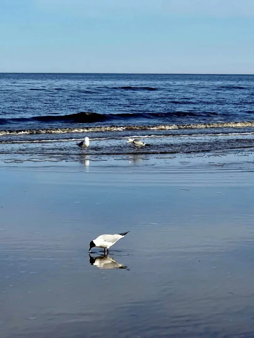 Вечерние прогулки вдоль Белого моря: что может быть прекрасней? Мои личные впечатления и выводы