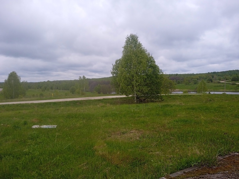 Природа деревни Хлуднево Калужской области