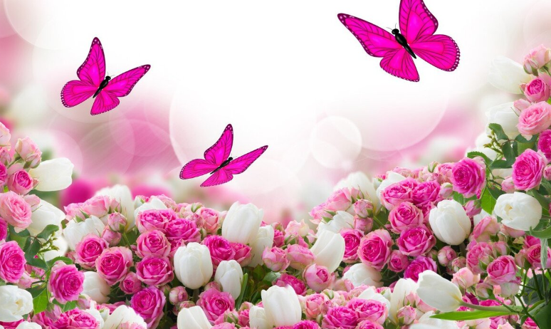 Тайный язык цветов. Что символизируют различные их виды? Это стоит знать!