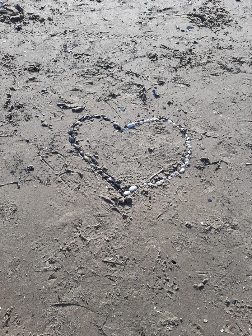 Вечерние прогулки вдоль Белого моря: что может быть прекрасней? Мои личные впечатления и выводы