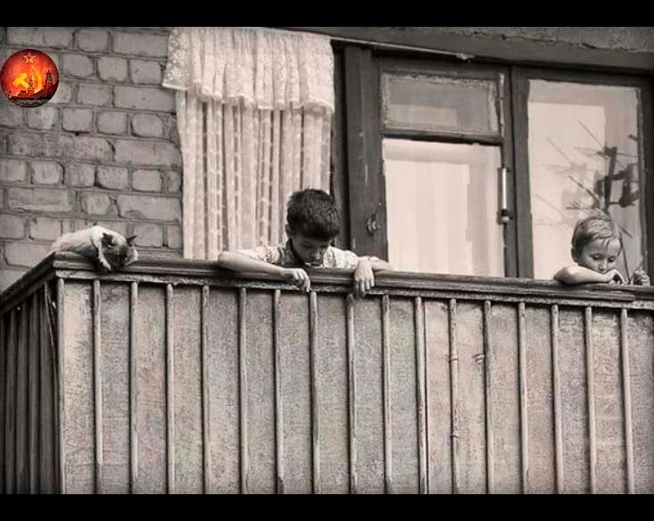 Один из поступков, за который мне стало стыдно ещё детстве и я его запомнила на всю жизнь