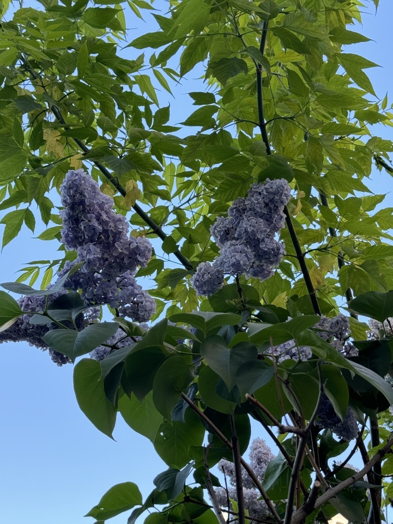 Не получили место в детском саду – имеете право на социальный денежный сертификат. Еще один законопроект в поддержку рождаемости