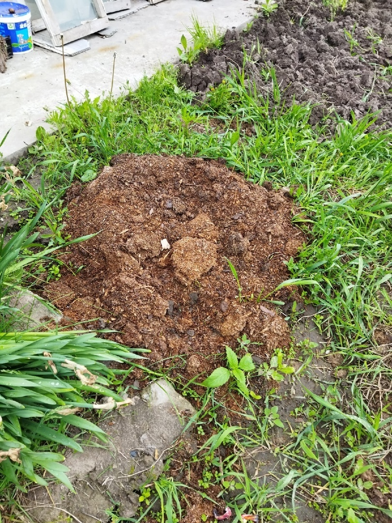 А знаете ли вы, что наша жизнь идёт по спирали длиной в тридцать лет? И, как это не грустно, история повторяется