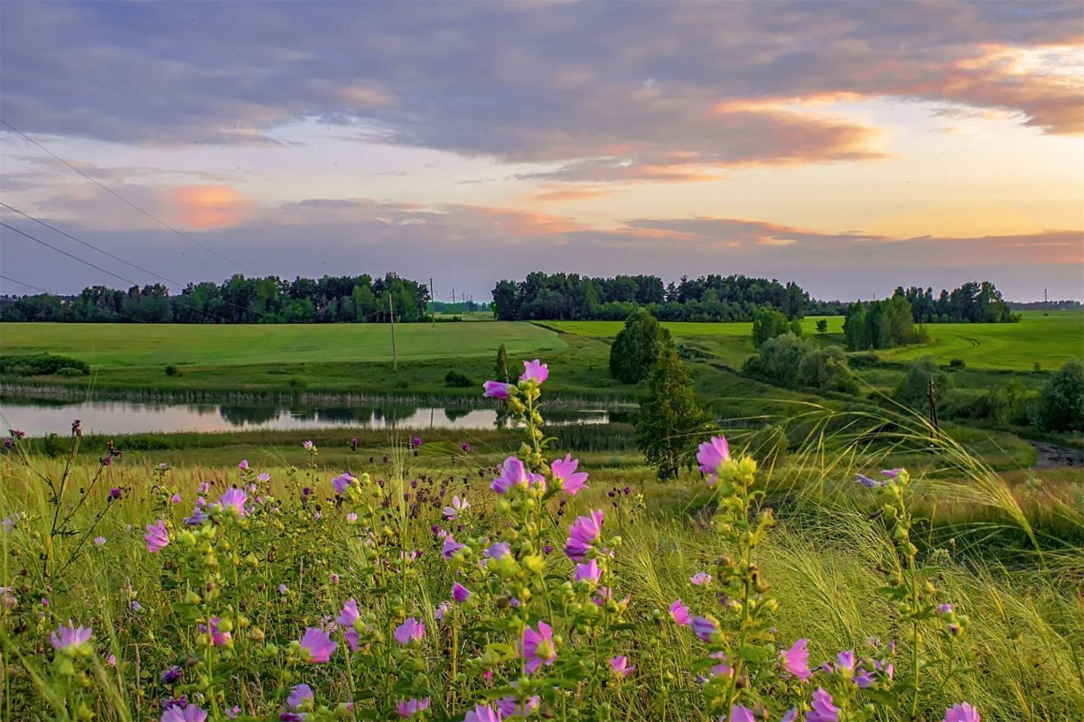 Лето: время радости, тепла и приключений