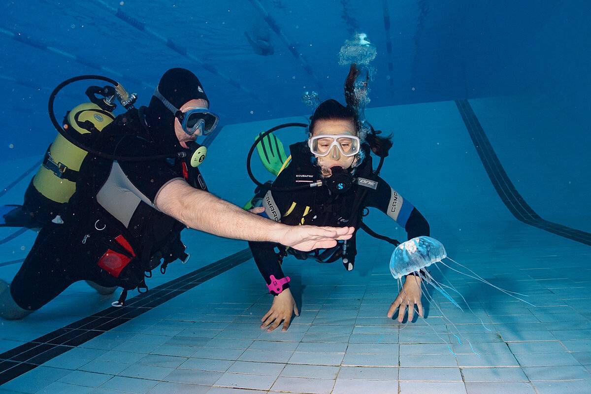 Погружение в бездну: Азбука Дайвинга