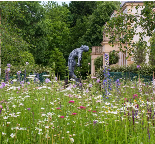 Идеи сада дикой природы – 13 способов превратить ваш задний двор в экологически чистый участок