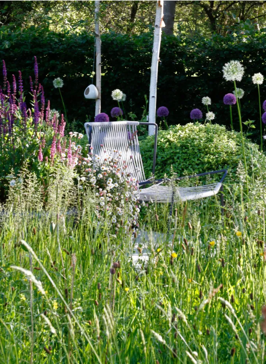 Идеи сада дикой природы – 13 способов превратить ваш задний двор в экологически чистый участок