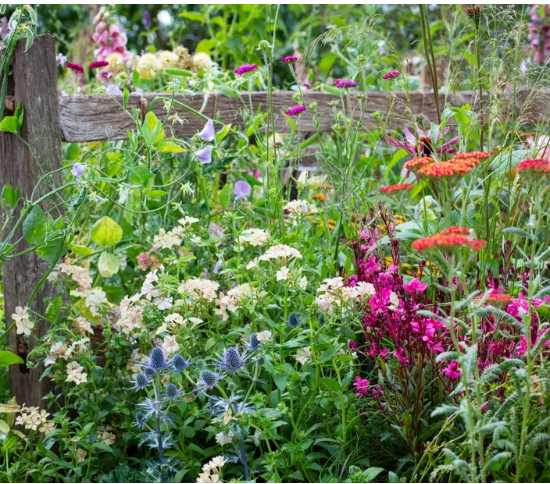 Идеи сада дикой природы – 13 способов превратить ваш задний двор в экологически чистый участок