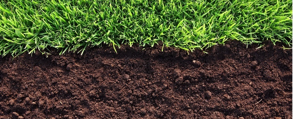 Огород на окне. Шаг 2.