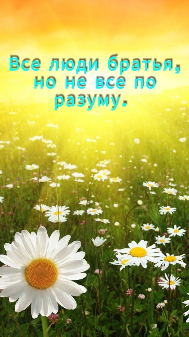 Цитаты с юмором или в каждой шутке есть доля правды.