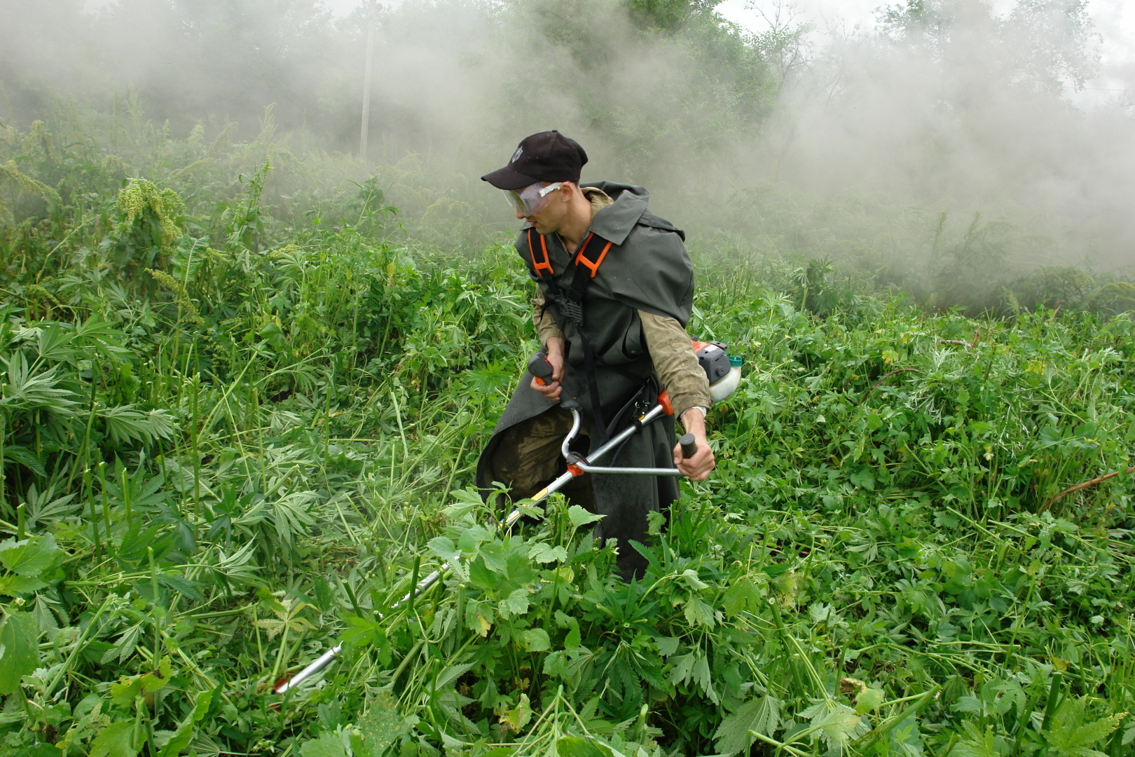 Наркокурьера удивили муляжом