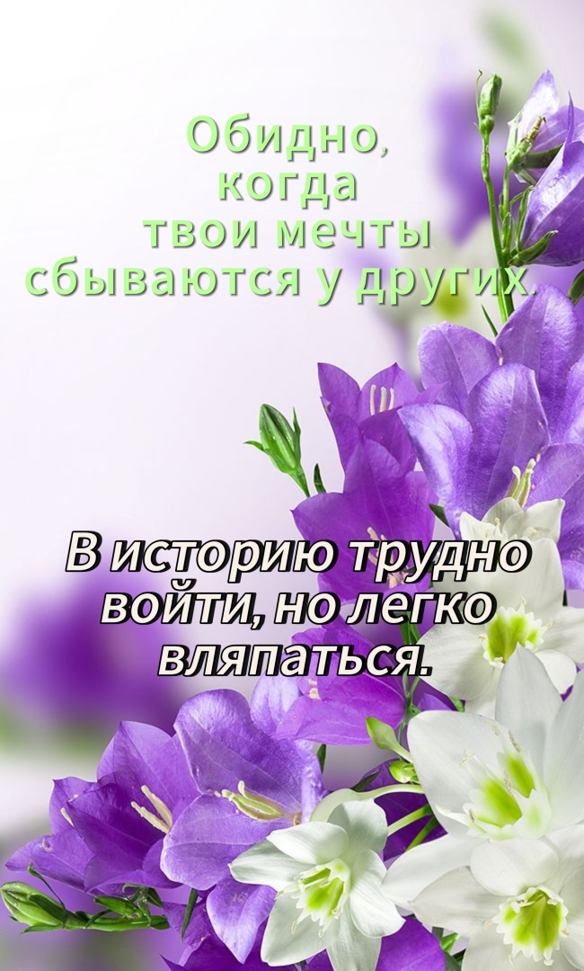 Цитаты с юмором или в каждой шутке есть доля правды.