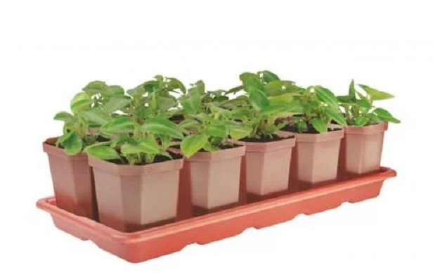 Огород на окне. Шаг 3 - выбор горшков для посадки.