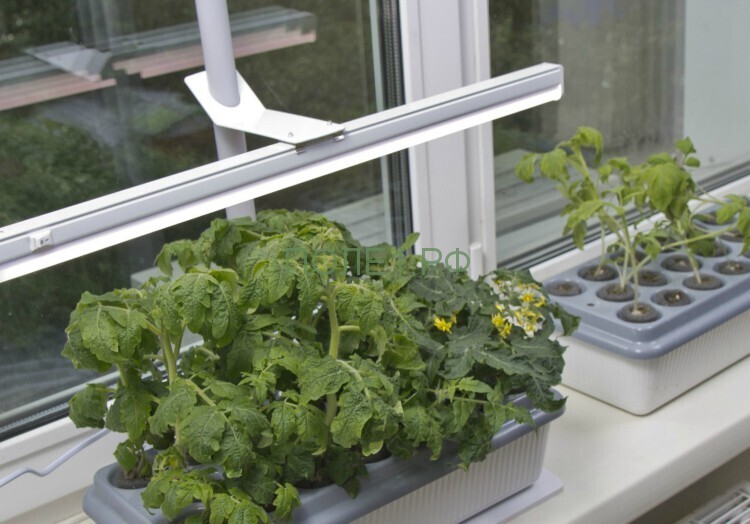 Освещение для огорода на подоконнике.