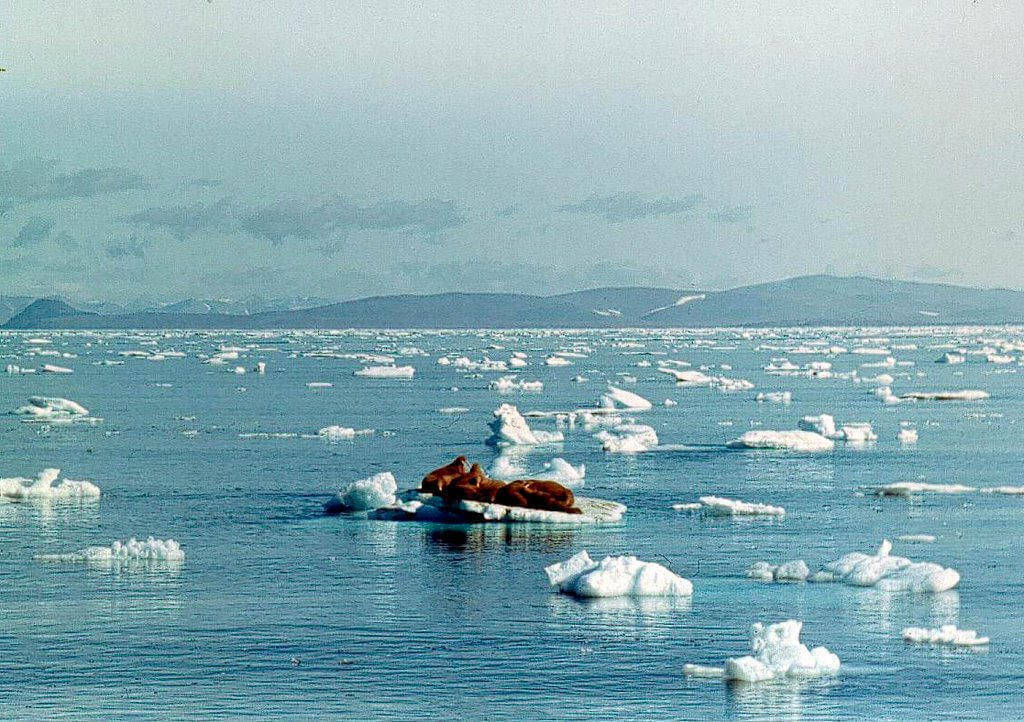 Берингов пролив – удивительное природное образование, которое разделяет два крупнейших континента - Азию и Северную Америку