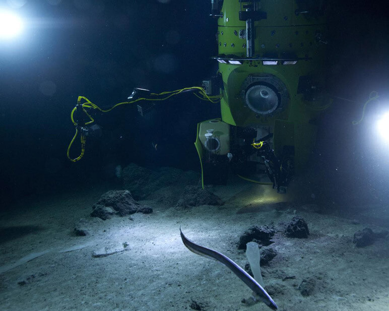 Марианская впадина – самая глубокая впадина на Земле и одно из самых загадочных мест на планете