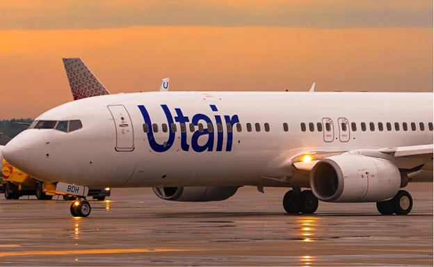 Не выдержала жары? На борту рейса Москва — Анталья умерла кошка Маруся