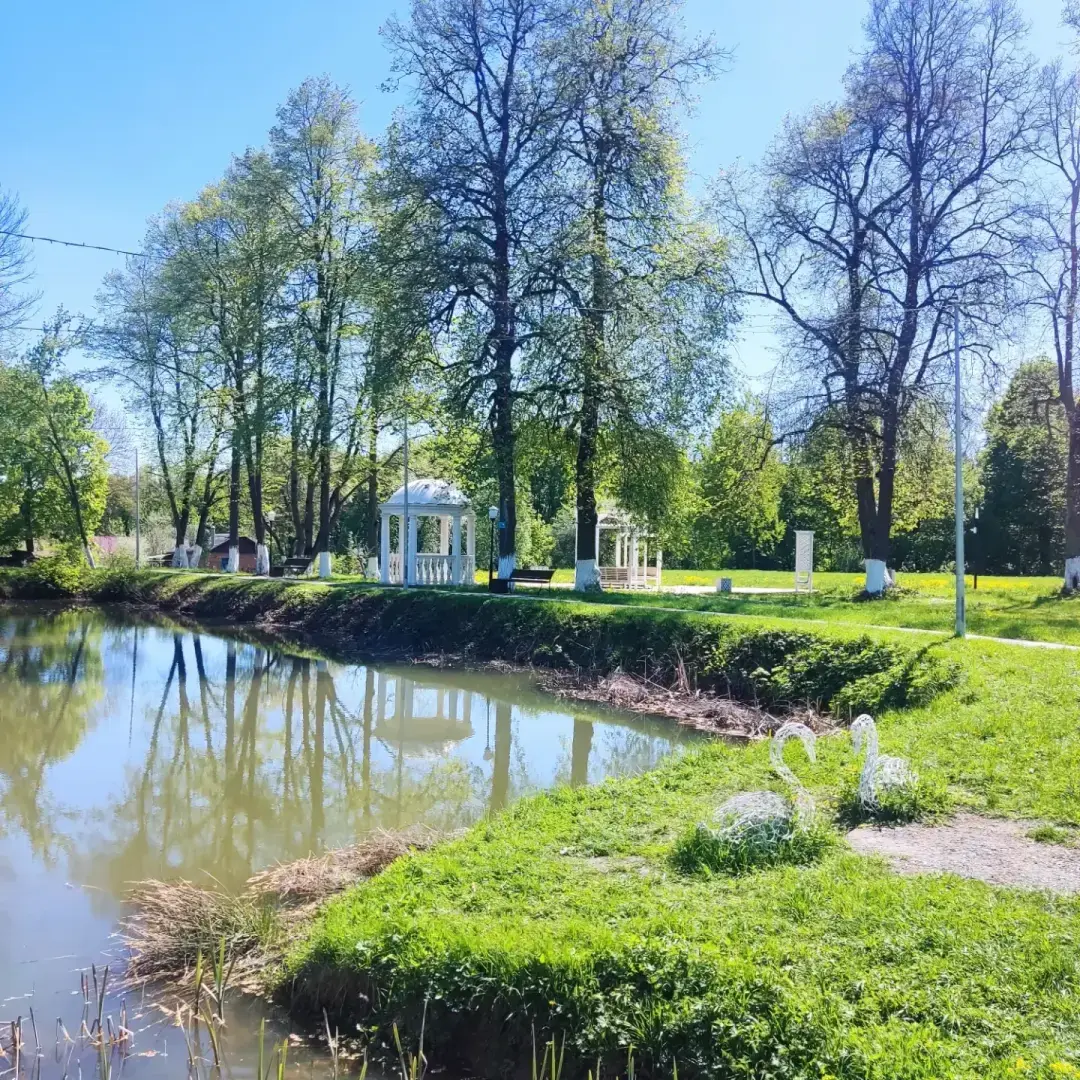 По местам малой родины моей мамы. Парк усадьбы Шеншиных, деревня Волково Мценского района Орловской области.