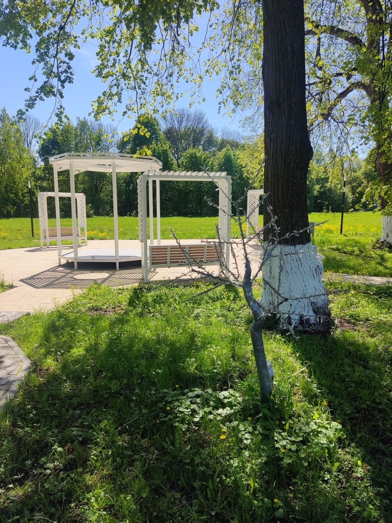 По местам малой родины моей мамы. Парк усадьбы Шеншиных, деревня Волково Мценского района Орловской области.