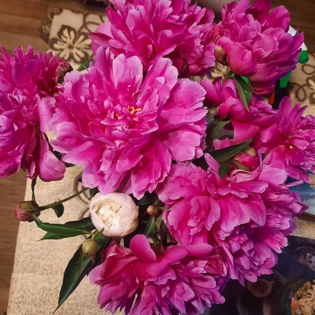 Как моя команда выиграла ящик мороженного. Пятничная игра Квиз Плиз.