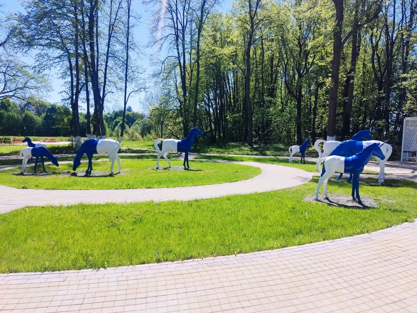 По местам малой родины моей мамы. Парк усадьбы Шеншиных, деревня Волково Мценского района Орловской области.