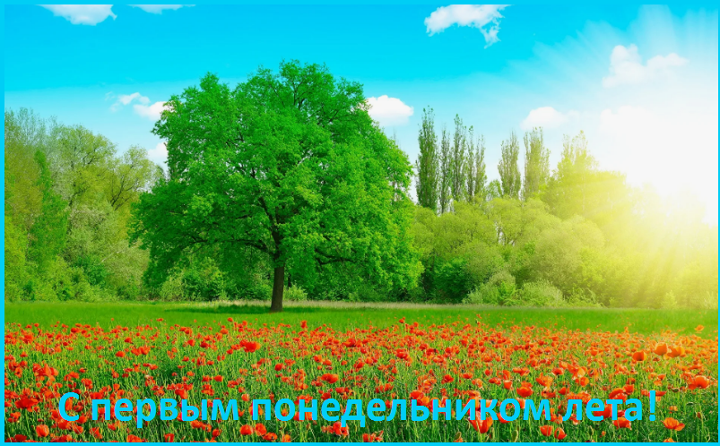 ✔️ Лучший летний день и лучшая песня лета❤️