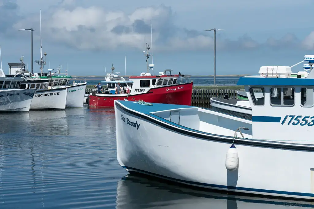 Песок, море и столько спокойствия, сколько вы когда-либо хотели