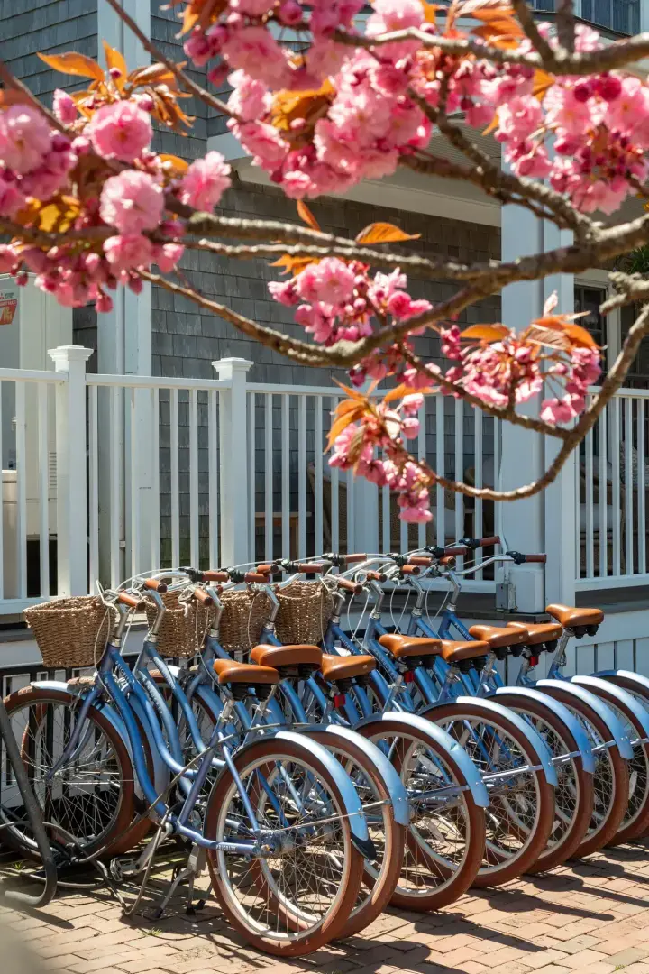 От официанта до гостя в отеле Grande Dame в Нантакете